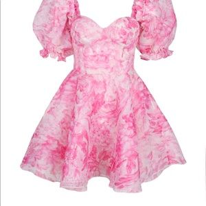 🎀💗 BNWT Selkie Pink The Babydoll Toile Parliament Dress in 1x 🎀💗